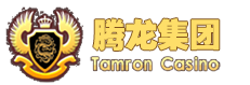首页-腾龙集团网站[以客户为中心]